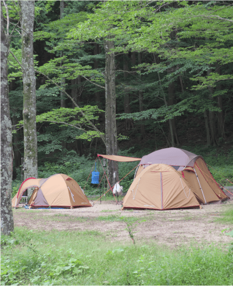 聖ヶ岩ふるさとの森